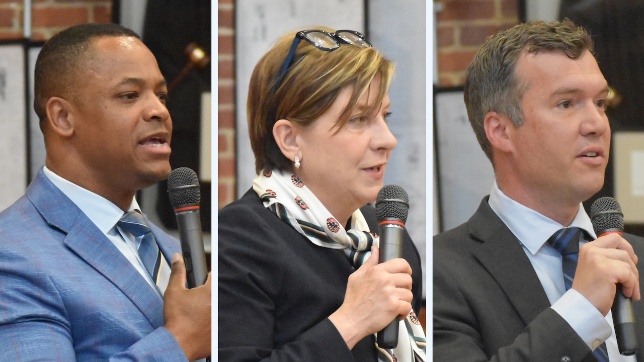 Poll Hints at Tight 3-Way Democratic Race for Anne Arundel County Executive